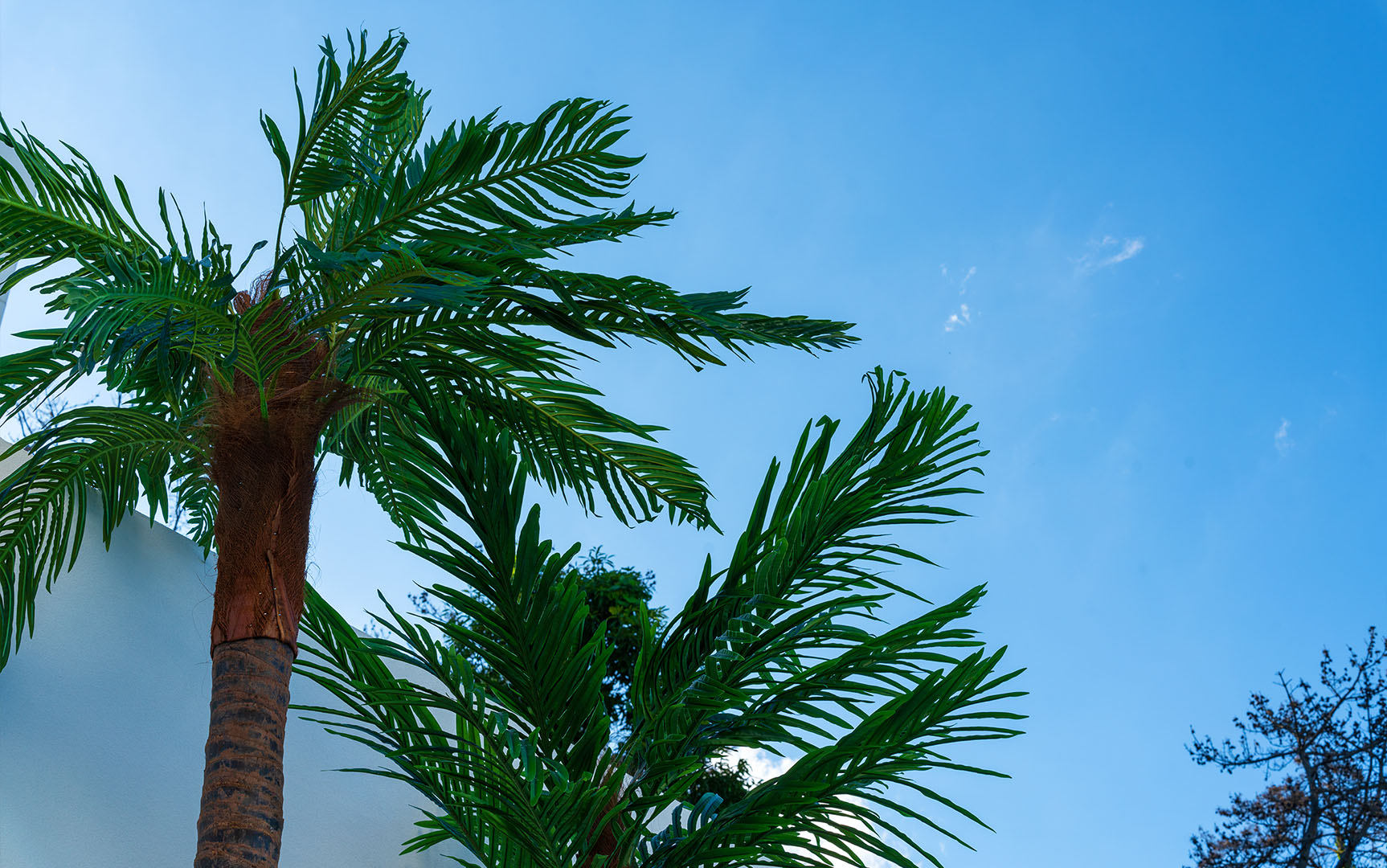 슬라이드 이미지21